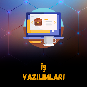 İş Yazılımları
