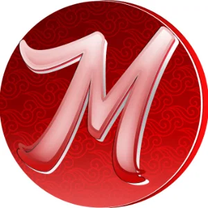 Metin2008
