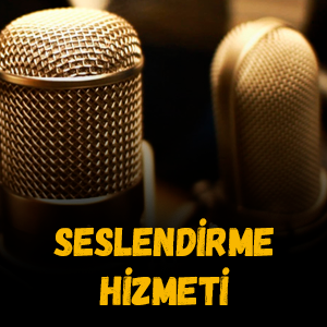 Seslendirme Hizmeti