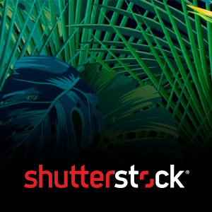 Shutterstock