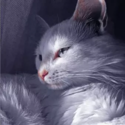1337