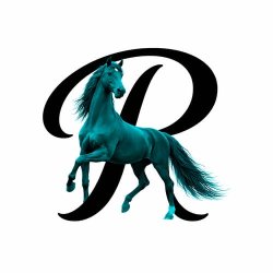 RalvoraShop