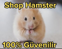 ShopHamster