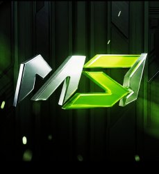MsiStore