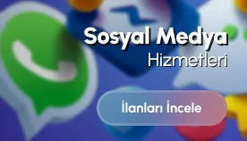 Sosyal Medya - Kategoriler