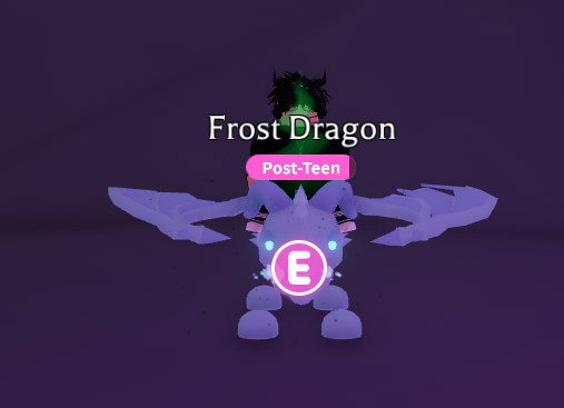  Frost Dragon 