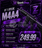 1 AYLIK M4A4 (ÖZEL FİYAT)