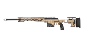 1 AYLIK MSR 01