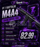 1 HAFTALIK M4A4 (DAHA UCUZU YOK)