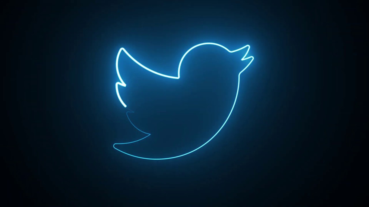 100 Twitter Kadın Takipçi Garantili