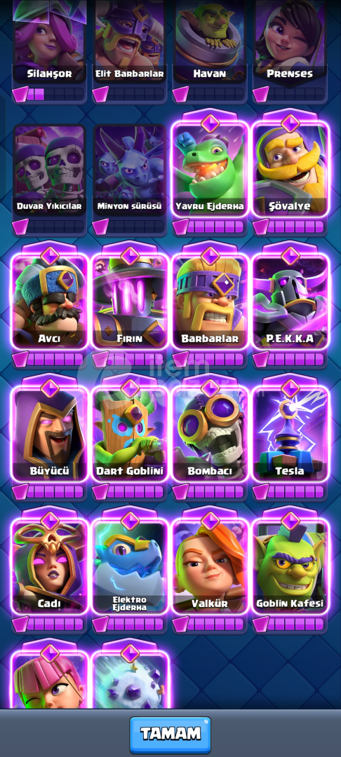 10.030 kupa Nadir Ve dolu clash royale hesabı
