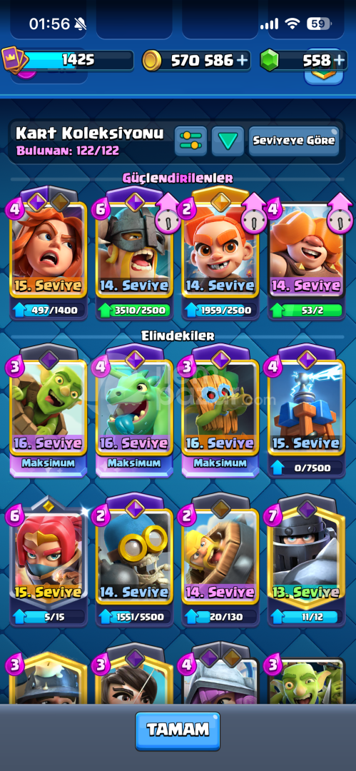 10K KUPA 11 EVRİM 3 MAKS