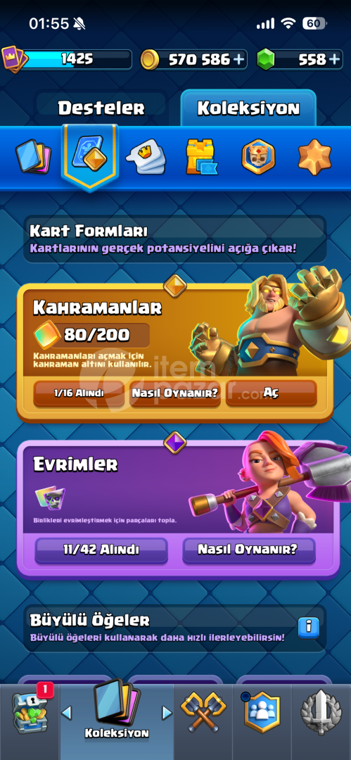 10K KUPA 11 EVRİM 3 MAKS