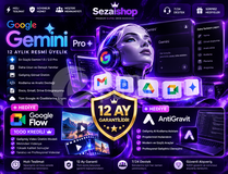 12 Ay Kendi Mailinize GEMİNİ+FLOW+ANTİGRATİV 