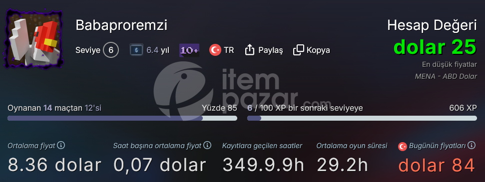 13 OYUNLU SİMÜLASYON STEAM HESABI