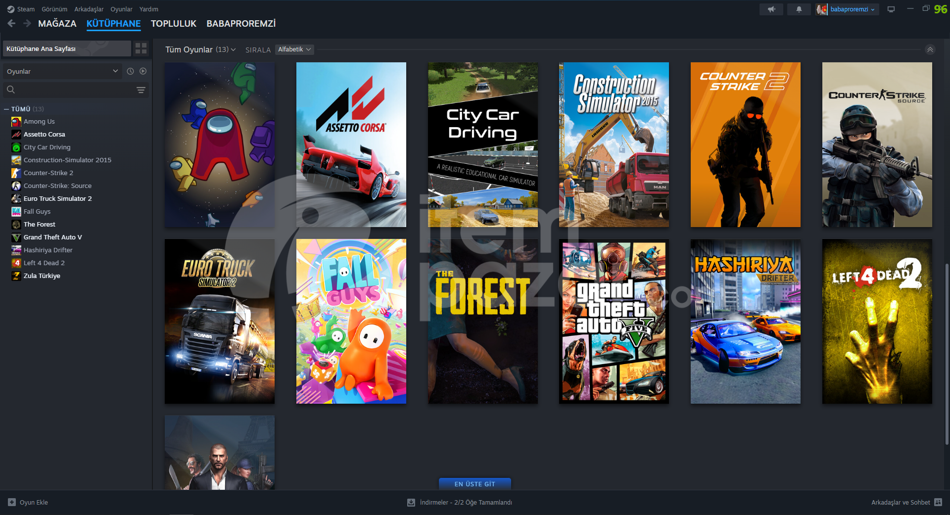 13 OYUNLU SİMÜLASYON STEAM HESABI