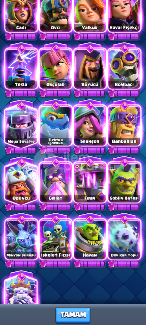 13000 KUPA MAX HESAP