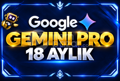 ​18 AYLIK GEMİNİ PRO