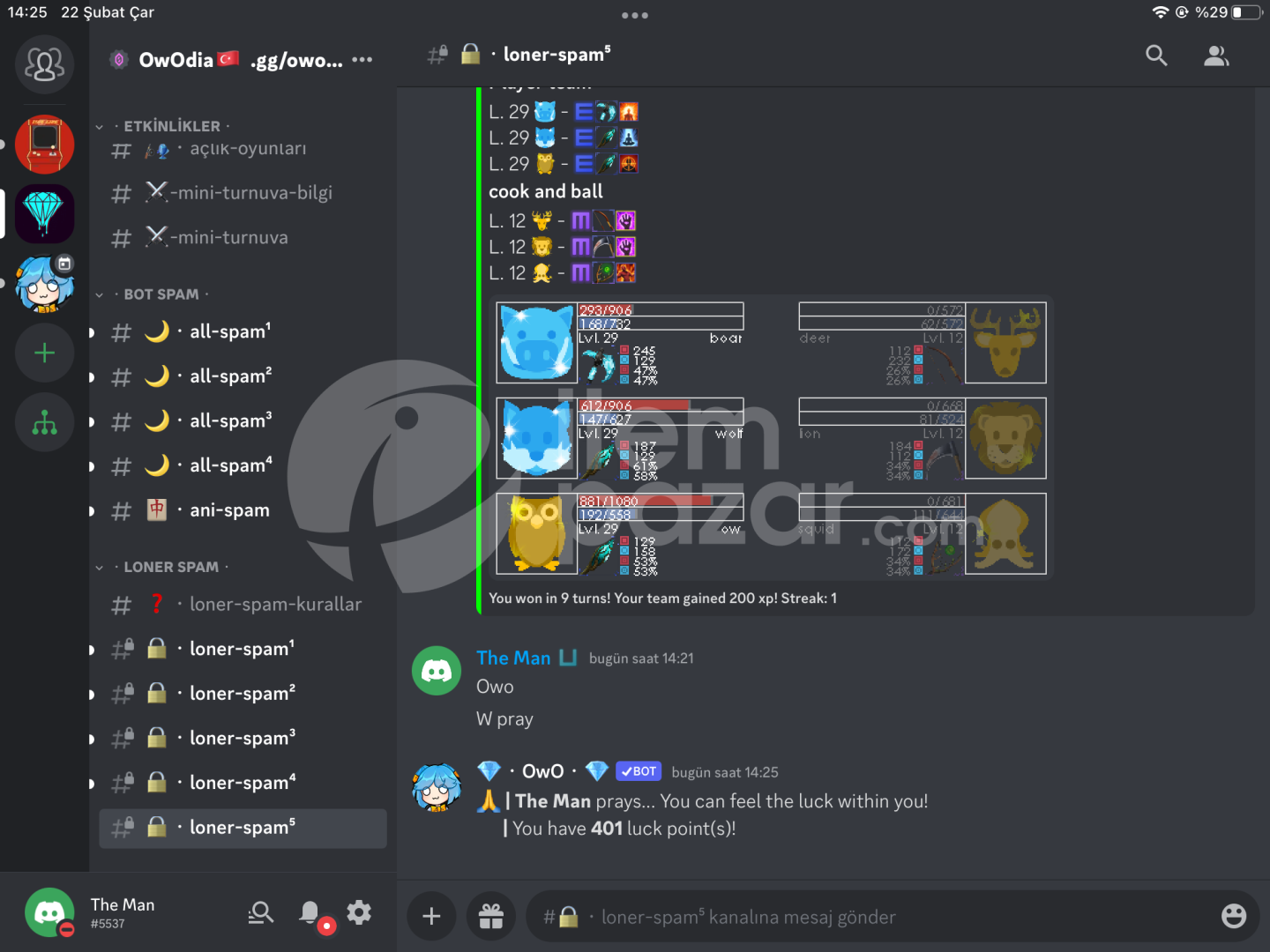 19 level owo hesap 