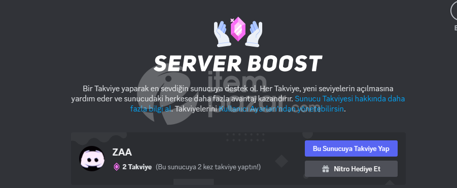 1lvl boostlu sunucu