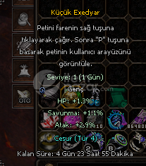 2 9 KASILMAMIS ELİT PET