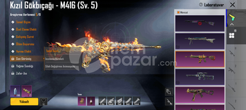 2 Dodge buz Max mainlik