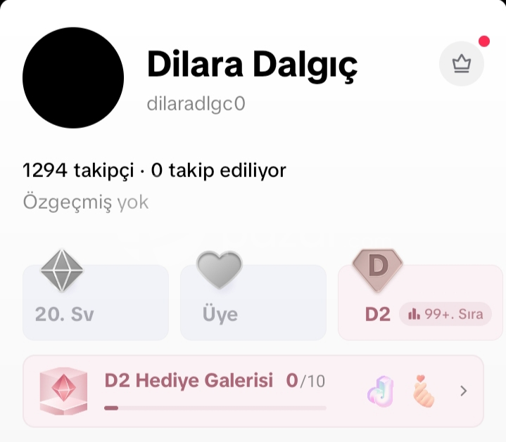 20 LEVEL KIZ HESABİ 1.2K TAKİPCİLİ!