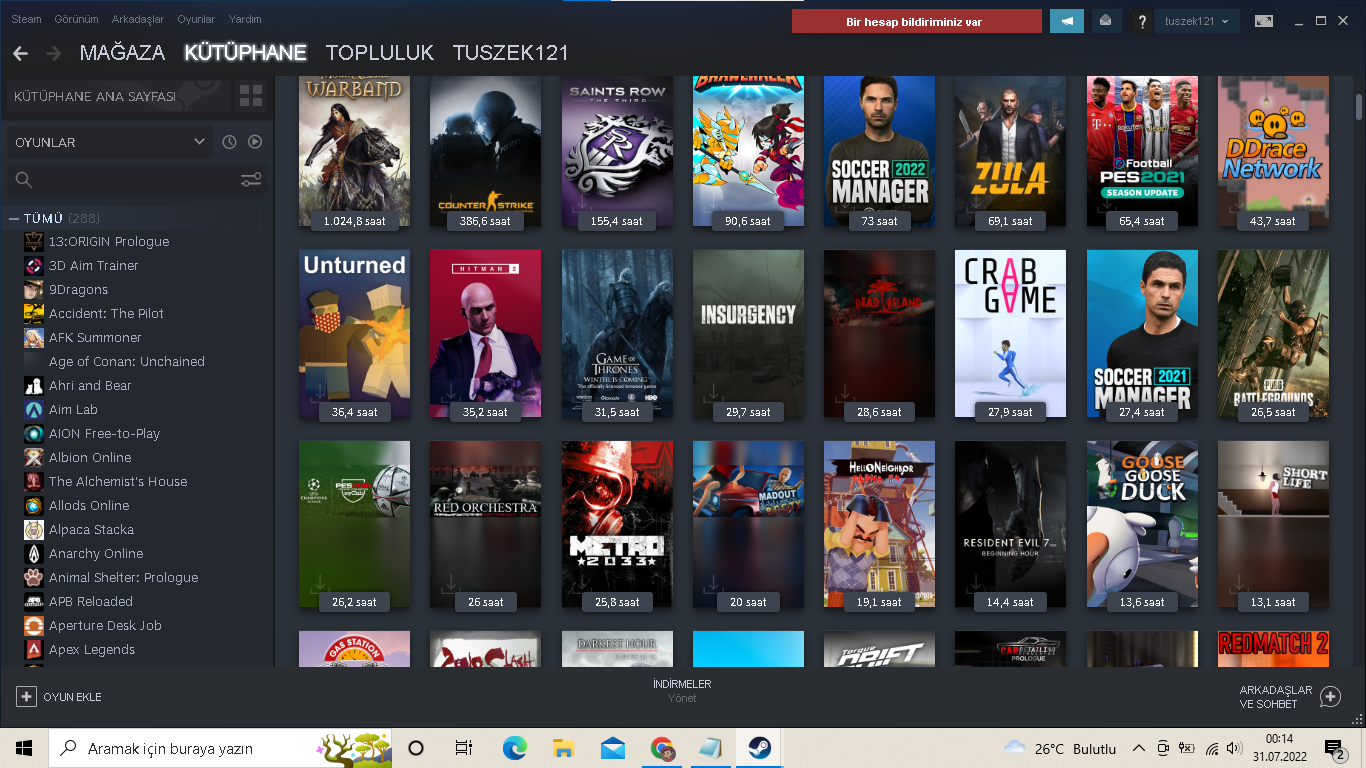 200+ oyunlu bal gibi steam hesabı 