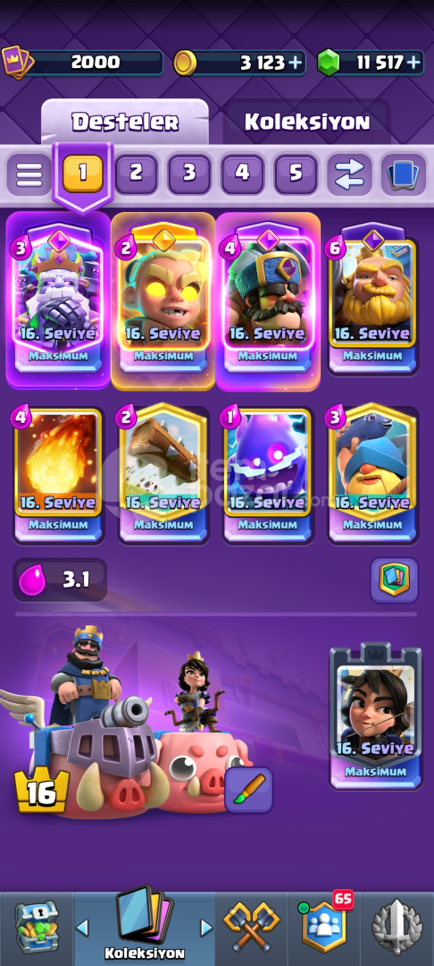 2000 level - 50 maks - 30 evo - 11 hero 