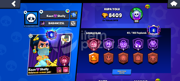 2400 kupa SHELLY main hesap 