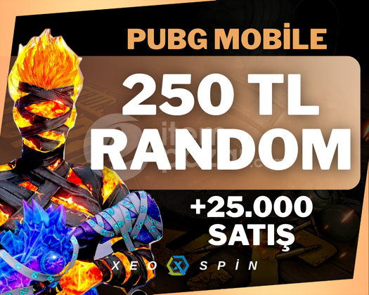 250 TL | PUBG RANDOM | ULTRA VİP+ | +300 SATIŞ