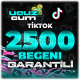 2500 BEĞENİ GARANTİLİ OTOMATİK TT
