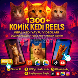 2600+ HAZIR KEDİ VİDEOLARI PACK YOUTUBE SHORTS