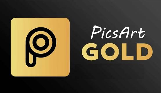 3 Aylık picsart gold