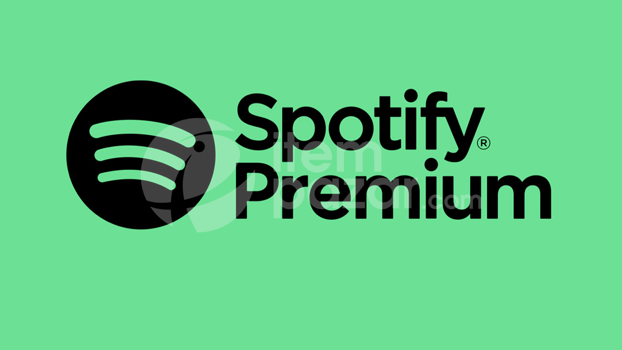 (3 AYLIK) SPOTİFY PREMİUM