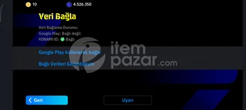 3205 Pes Hesabı