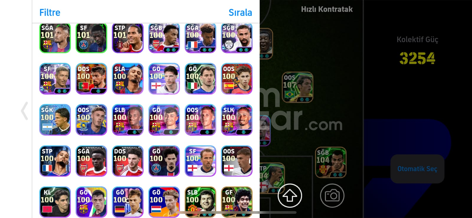 3252 KGLİ TEK BAG HARİKA PİRLOLU HESAP