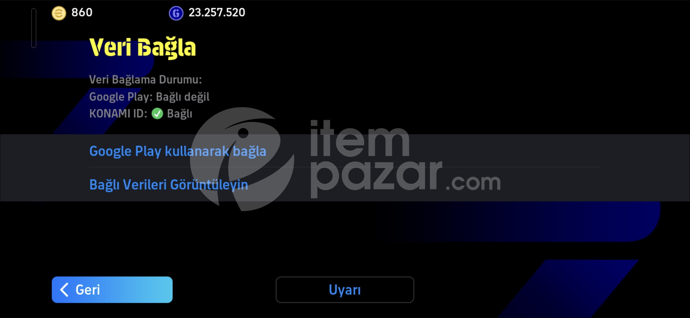 3310 Tek bağ hesap