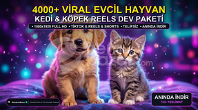 4000+ Viral Evcil Hayvan Reels Kiti