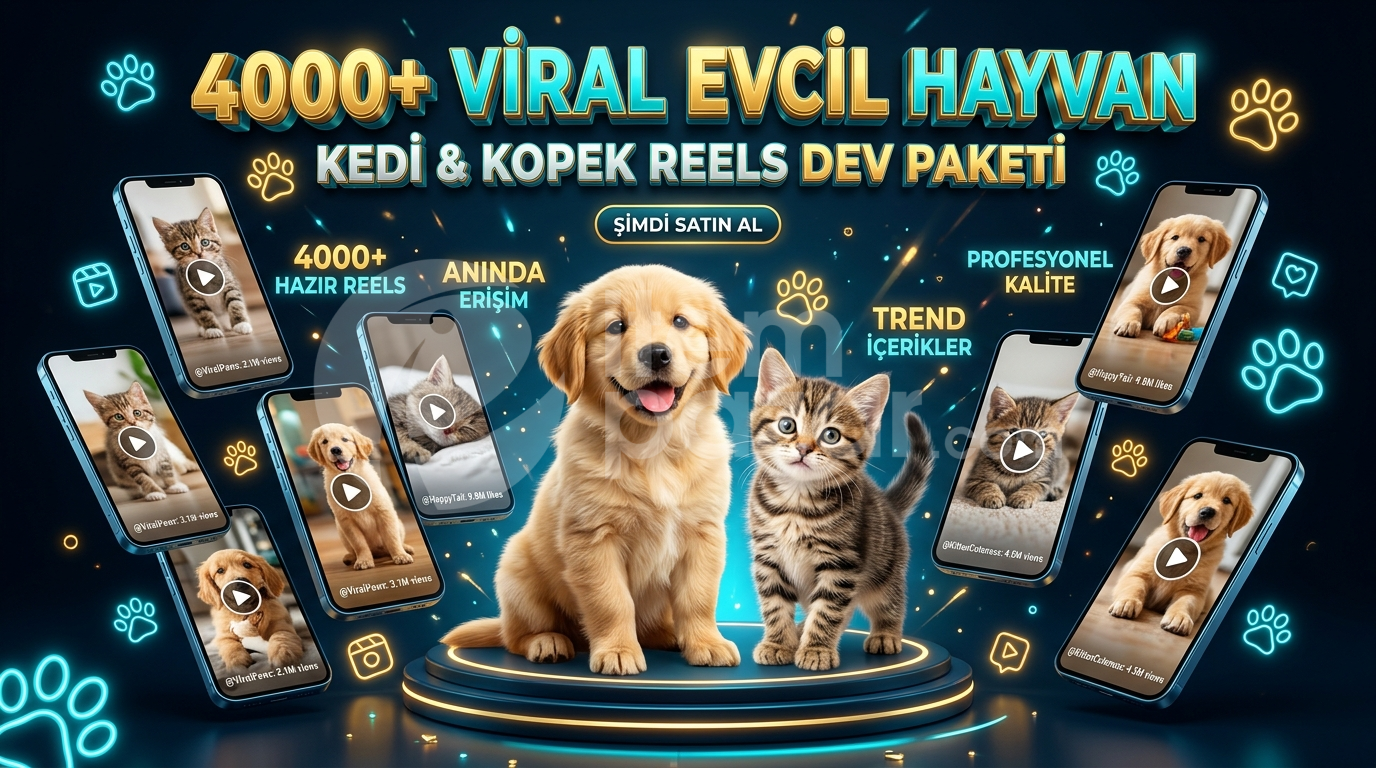 4000+ Viral Evcil Hayvan Reels Kiti