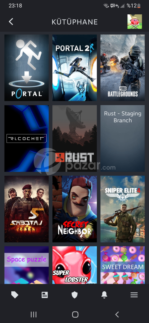 4200 TL'LİK 91 OYUNLU STEAM HESAP