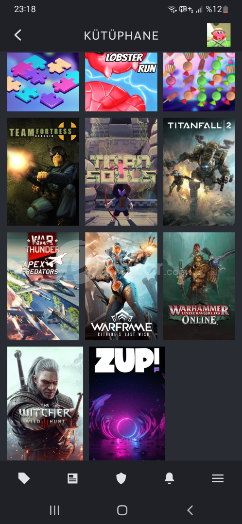 4200 TL'LİK 91 OYUNLU STEAM HESAP