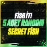 5 ADET RANDOM SECRET FİSH (FİSH İT)