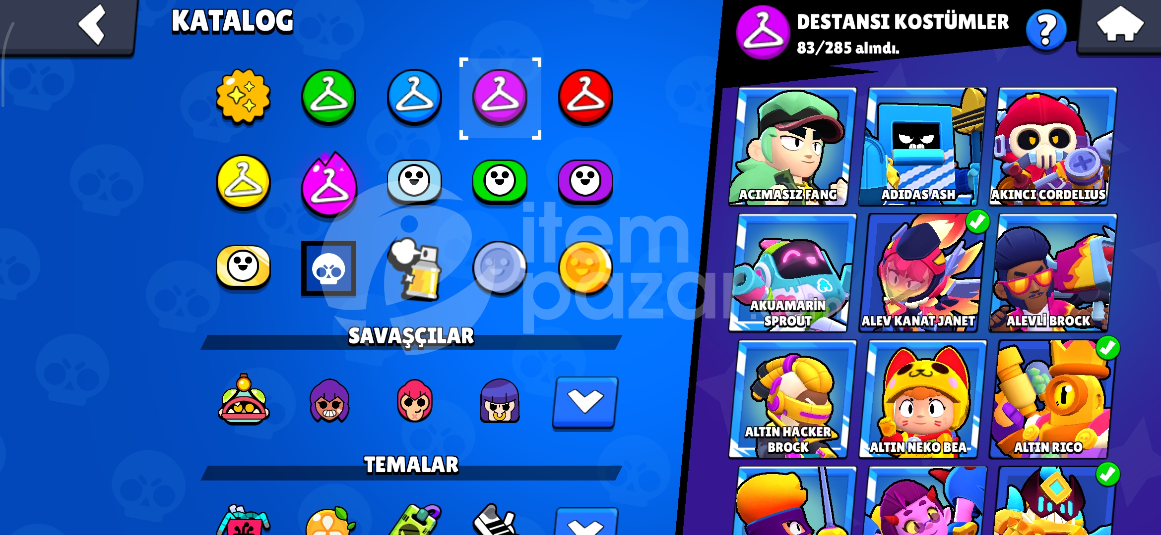 55.3K KUPA |274 kostüm 22x LVL 11