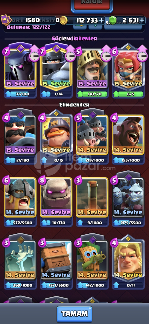 6 Maksimum Seviye Kart 9 Evrimli Kart 12530 Kup