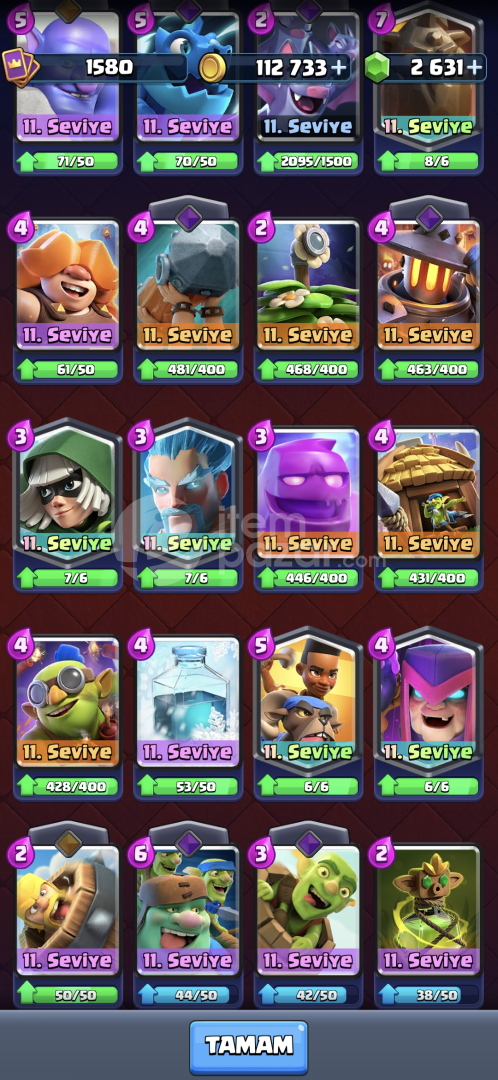 6 Maksimum Seviye Kart 9 Evrimli Kart 12530 Kup