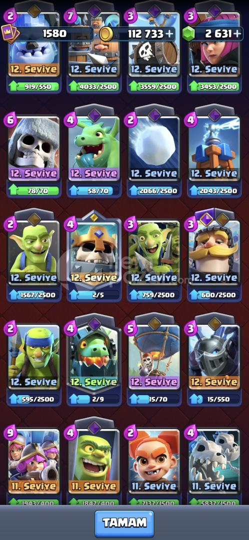 6 Maksimum Seviye Kart 9 Evrimli Kart 12530 Kup