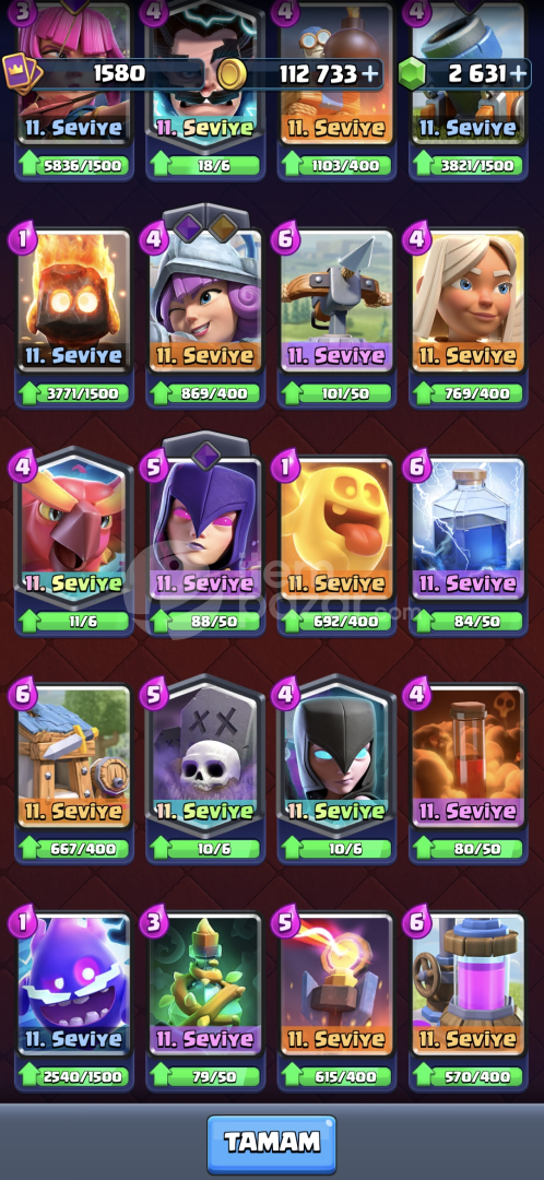 6 Maksimum Seviye Kart 9 Evrimli Kart 12530 Kup