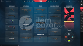 +6 Yükseltilebilir skinli tr hesap