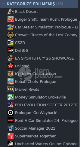 7 YILLIK STEAM HESABIM SATIYORUM